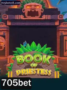 Explorando o Fascinante Mundo de BookOfPriestess: A Inovação nas Plataformas de Jogos